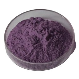 Plant Extract Blend Manufacturer - Procyanidin Ginger Mangostana Bilberry