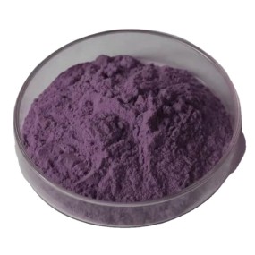 Plant Extract Blend Manufacturer - Procyanidin Ginger Mangostana Bilberry