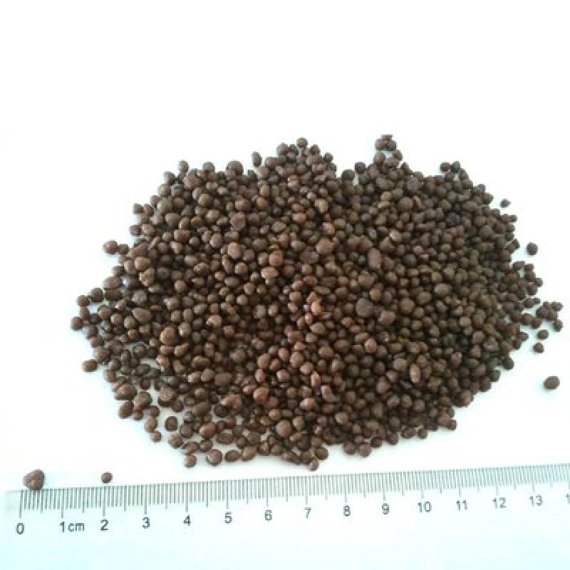 Diammonium Phosphate Fertilizer Manufacturer - Agriculture Grade 18-46-0 DAP