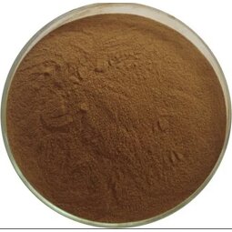 Irvingia Gabonensis Extract Manufacturer - Bulk Natural Plant Supplement