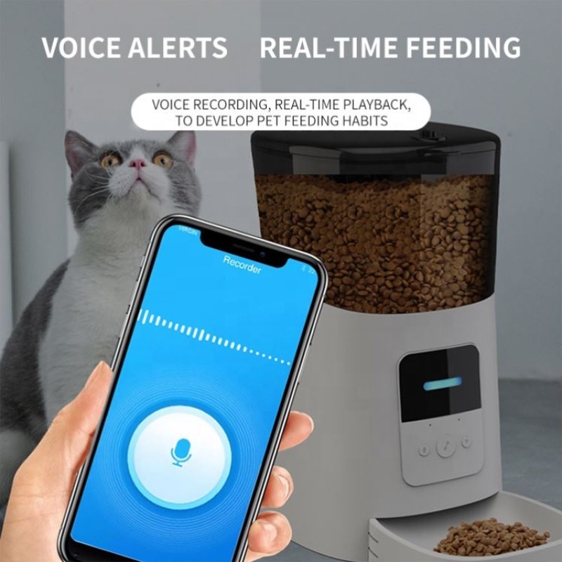 Automatic Cat Food Dispenser Manufacturer - Plastic Europe Smart Pet Feeder