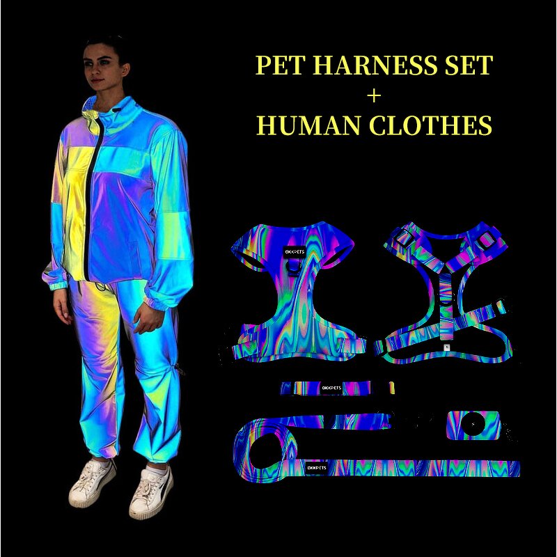 Luxury Dog Harness and Leash Set Manufacturer - New Arrival Reflective for Wedding