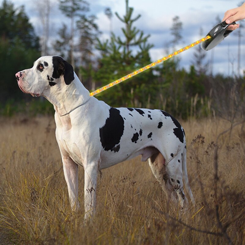 Automatic Retractable Dog Leash Manufacturer - Luxury PVC LED Illuminated Traction