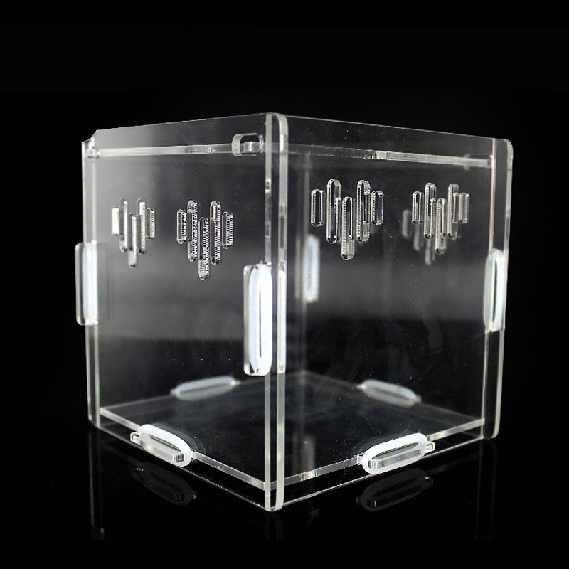 Acrylic Reptile Terrarium Manufacturer - Small Plastic Tank for Spider Lizard Snake