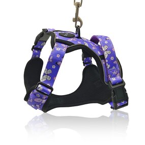 Printed Dog Harness Set Manufacturer - No Pull Personalized Pet Accessories
