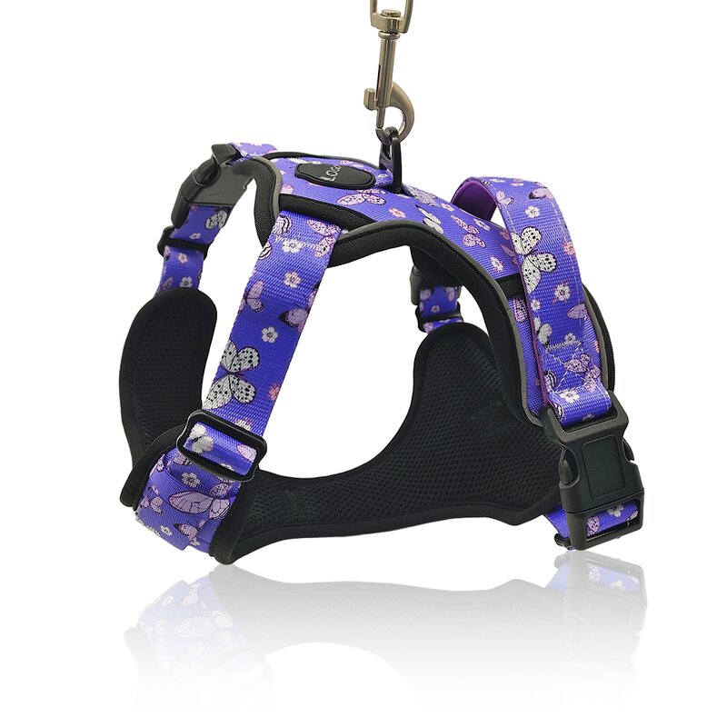 Printed Dog Harness Set Manufacturer - No Pull Personalized Pet Accessories