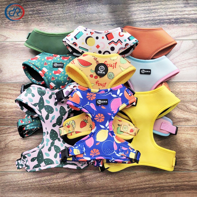 Dog Harness and Leash Set Manufacturer - Low MOQ OEM/ODM Custom Logo Printing