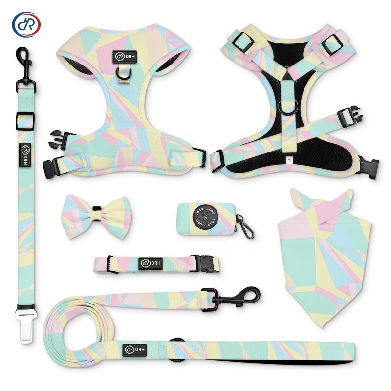 Custom Dog Harness Set Manufacturer - Hot Sale Low MOQ Polyester Personalized