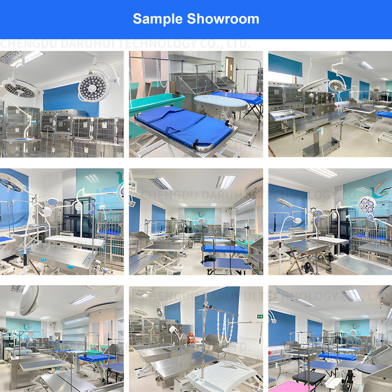 Pet Surgical Operation Table Manufacturer - DRH Professional Adjustable Height Vet Exam