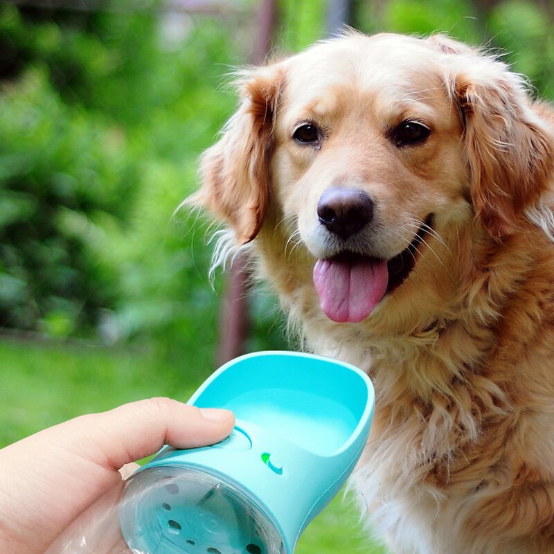 Portable Pet Water Bottle Manufacturer - Wholesale Hot Selling Travel 350ml