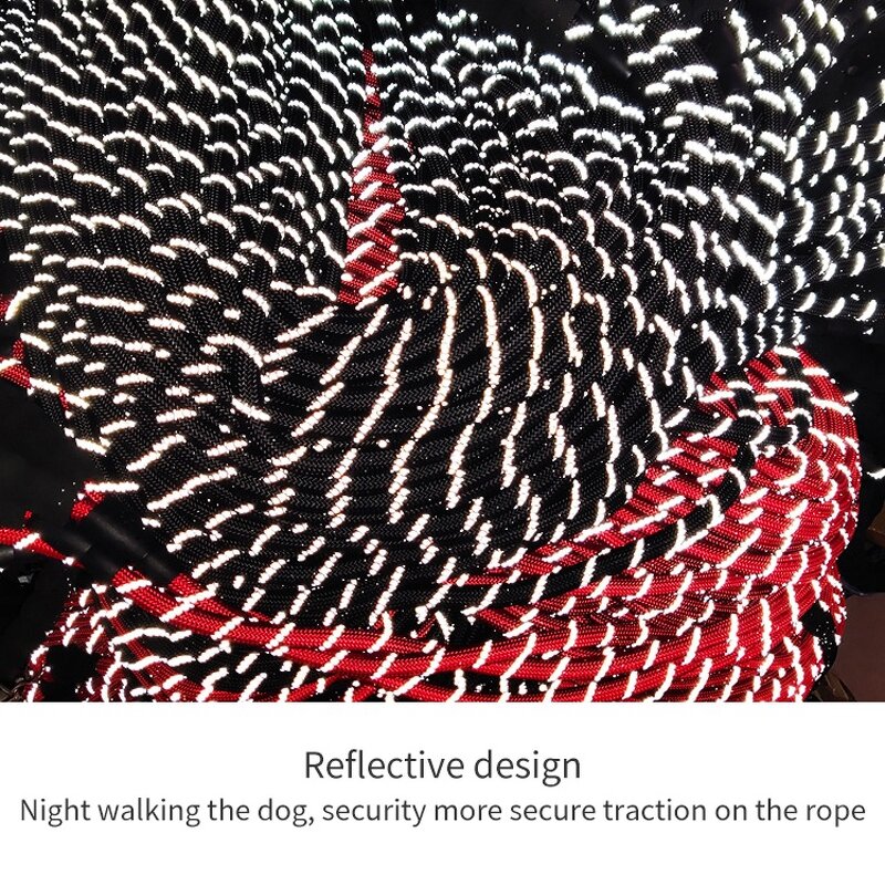 Reflective Round Rope Dog Leash Manufacturer - Hot Selling Cheap Price Premium Nylon