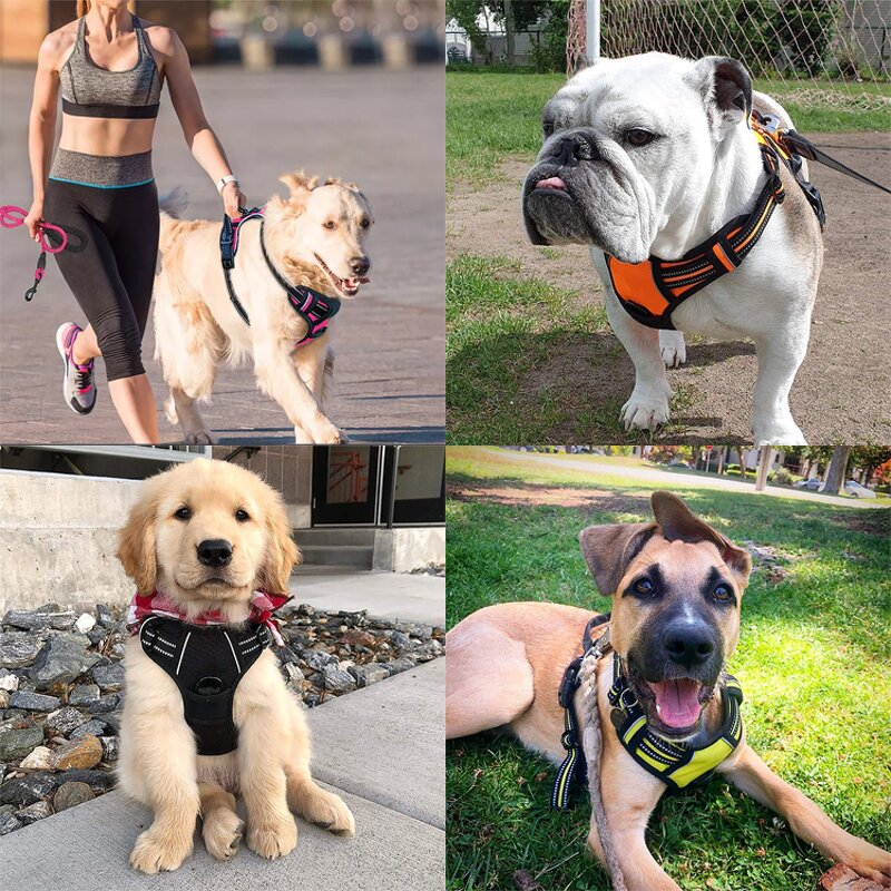 No Pull Dog Harness Set Manufacturer - Hot Sale Reflective Tough Adjustable Training