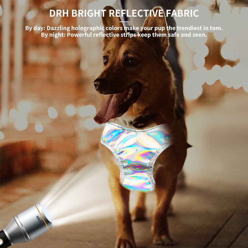 Reflective Dog Harness and Leash Set Manufacturer - Custom Logo Night Use