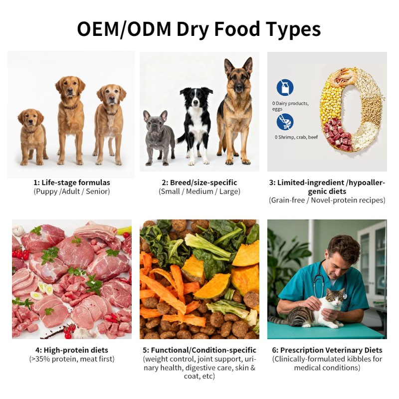 Dry Cat Food Manufacturer - OKKPETS Adult Hairball Control Urinary Health Chicken