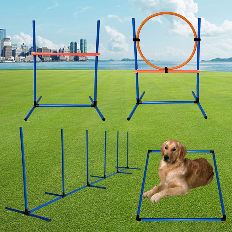 Dog Agility Training Equipment Manufacturer - Retriever Multifunction Pouch