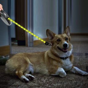Automatic Retractable Dog Leash Manufacturer - Luxury PVC LED Illuminated Traction