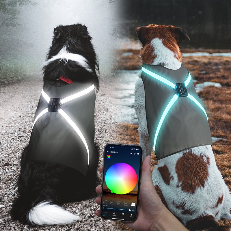 LED Pet Harness Manufacturer - 2024 New Design for Large Dog Light up