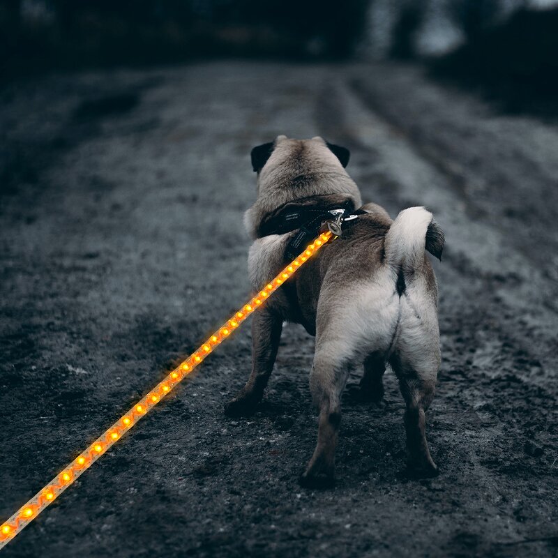 Automatic Retractable Dog Leash Manufacturer - Luxury PVC LED Illuminated Traction