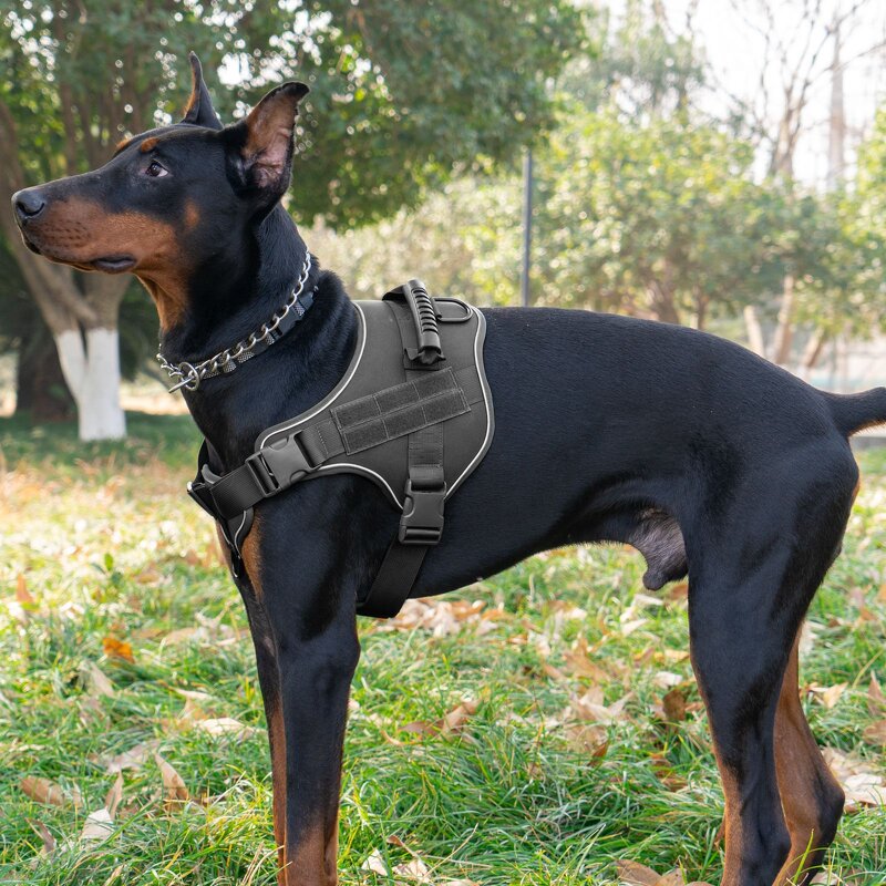 Tactical Dog Vest Harness Set Manufacturer - Designer Custom Outdoor Breathable