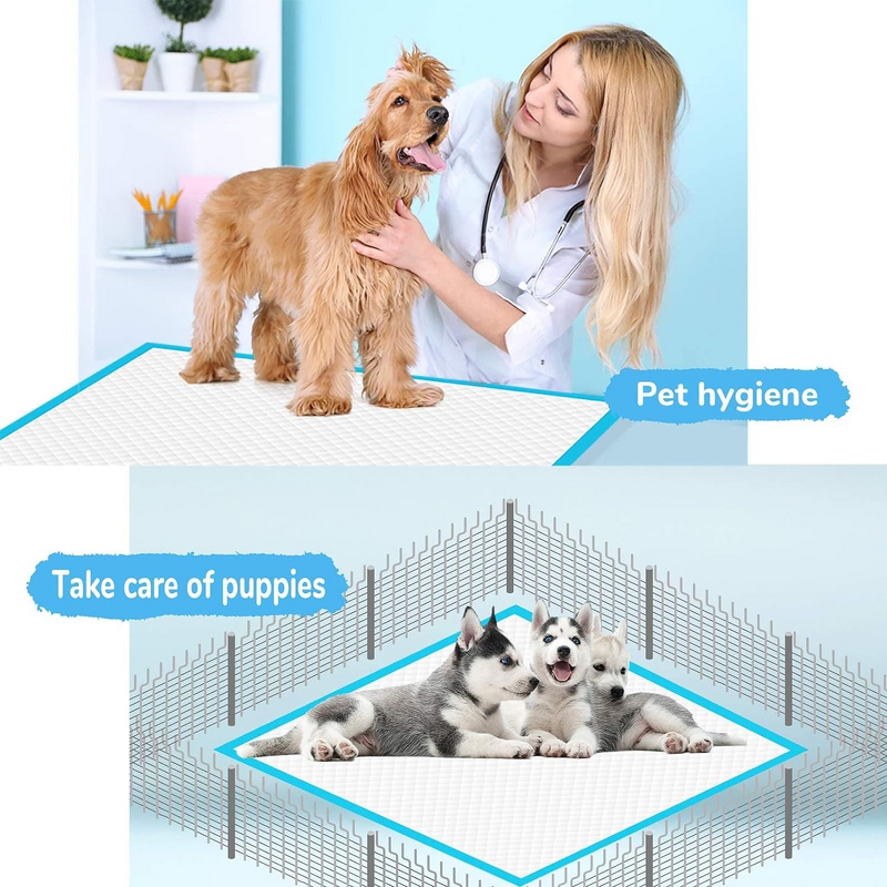 Disposable Puppy Pee Pads Manufacturer - Hot Sale Leak-Proof Quick-Dry Training