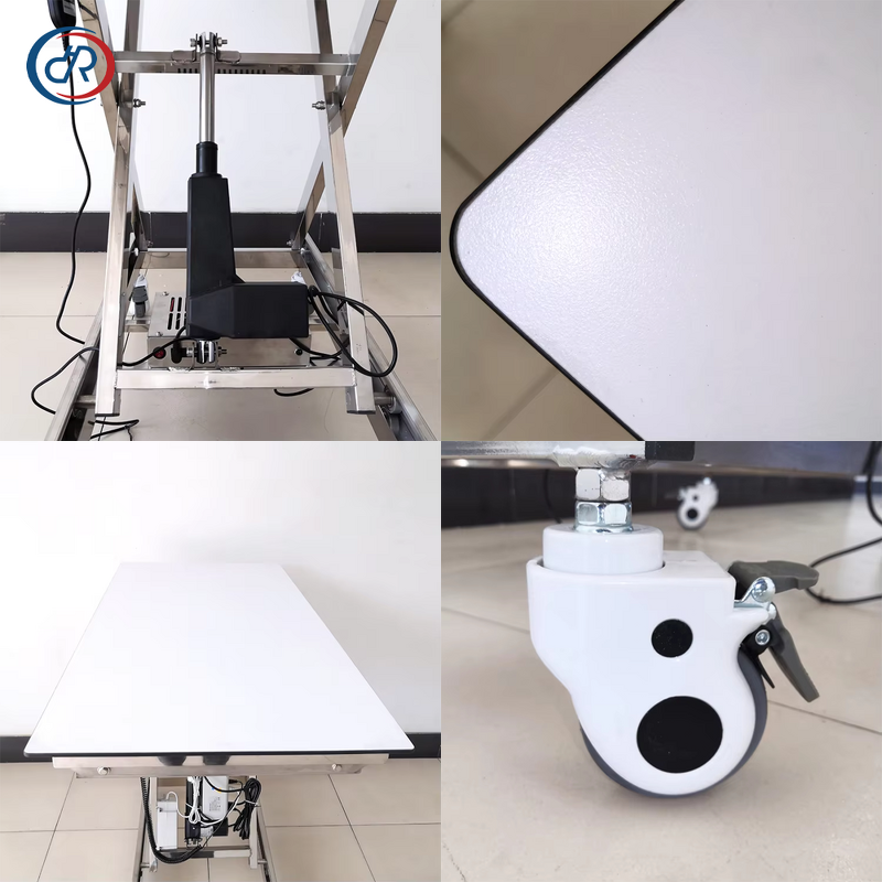 Veterinary Examination Table Manufacturer - DRH Professional Electric Adjustable Height