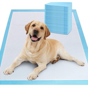 Disposable Puppy Pee Pads Manufacturer - Hot Sale Leak-Proof Quick-Dry Training