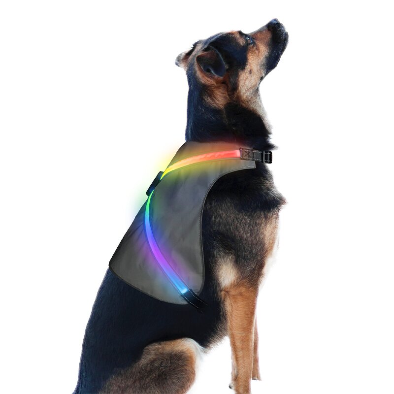 LED Pet Harness Manufacturer - 2024 New Design for Large Dog Light up