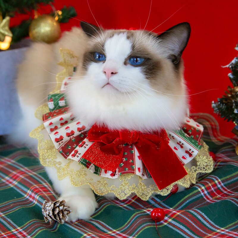 Christmas Cat Bib Bandana Set Manufacturer - Factory Wholesale Cute with Bow Tie