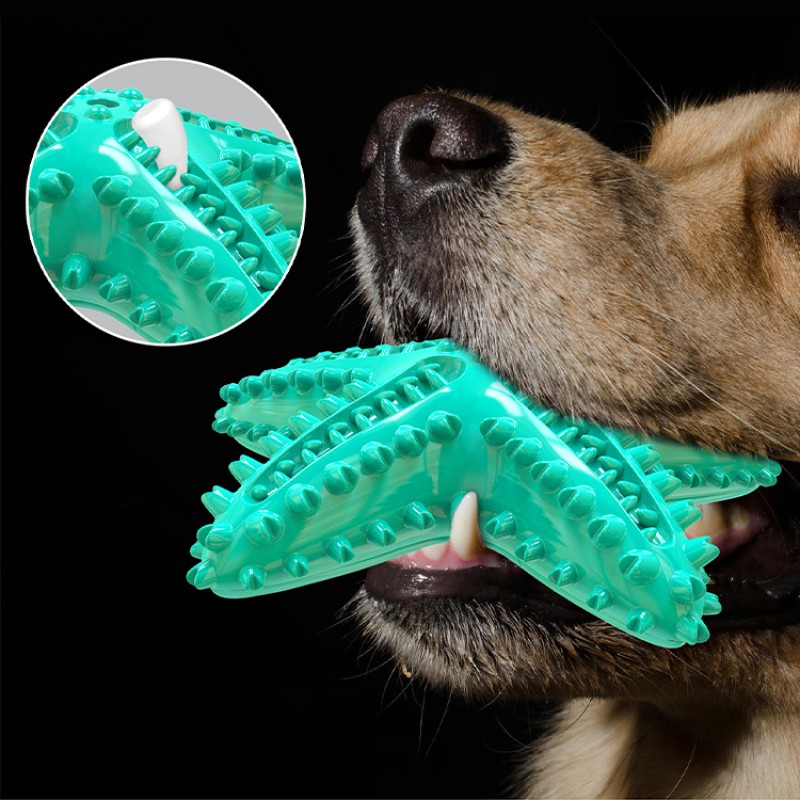 Starfish Pet Dog Toy Manufacturer - New Hot Sale with Sound Molar Rod Food Leakage