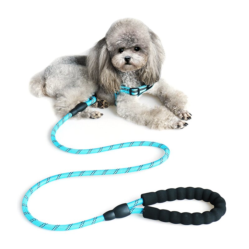 Reflective Round Rope Dog Leash Manufacturer - Hot Selling Cheap Price Premium Nylon