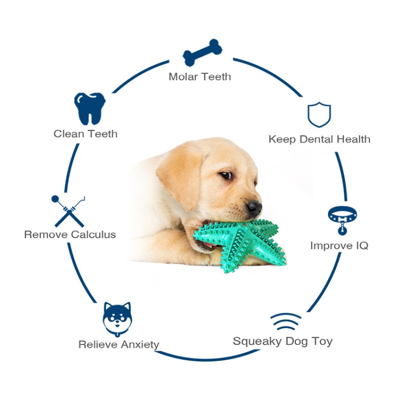 Starfish Pet Dog Toy Manufacturer - New Hot Sale with Sound Molar Rod Food Leakage
