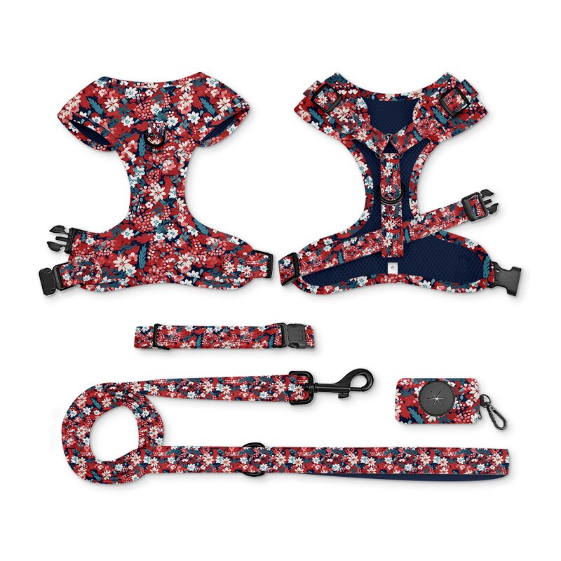 Designer Dog Harness and Leash Set Manufacturer - Breathable Adjustable Comfort