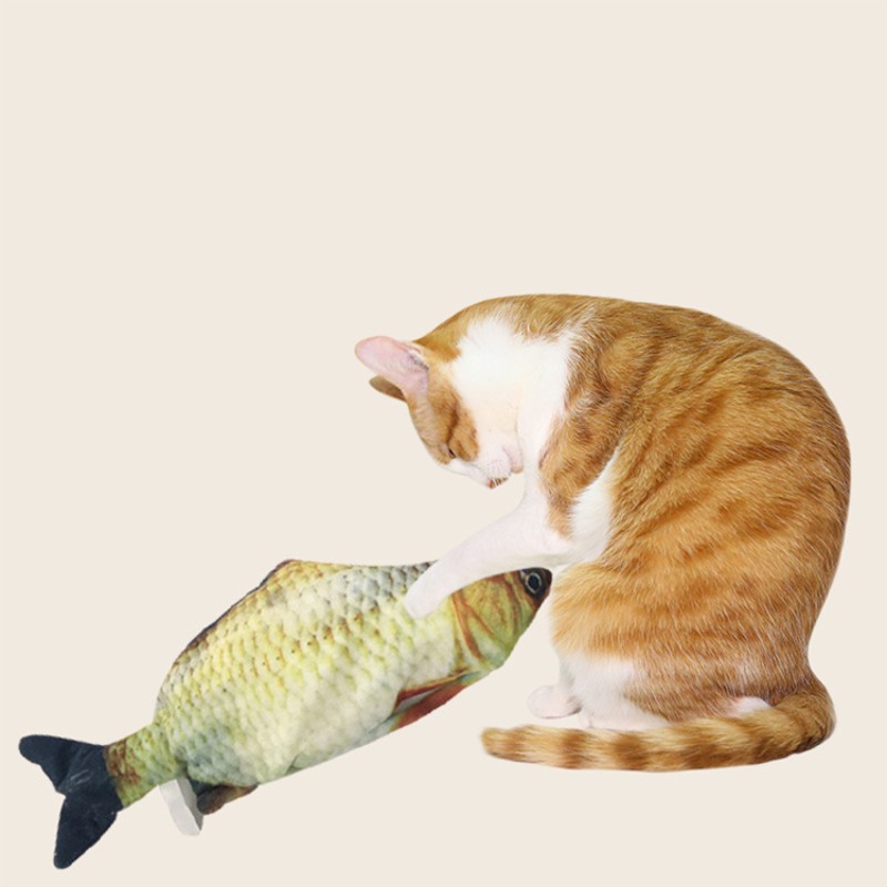 Electric Fish Cat Toy Manufacturer - Wholesale Manufacture 3D Fish Mold Silicon