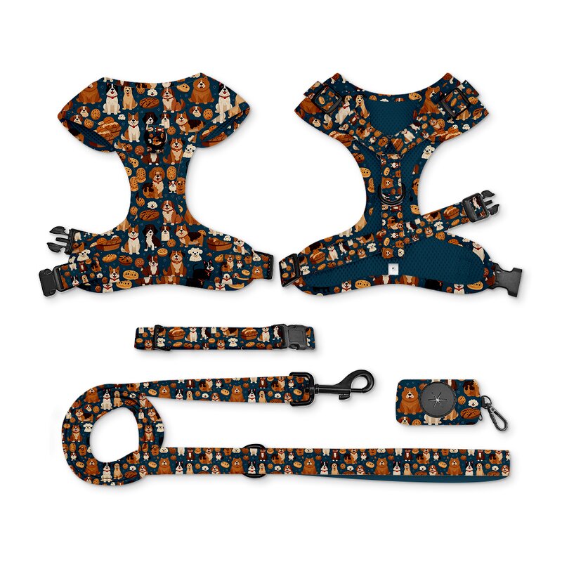 Designer Dog Harness and Leash Set Manufacturer - Breathable Adjustable Comfort