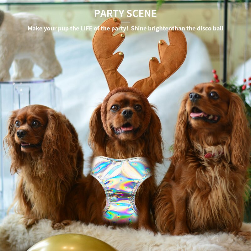 Reflective Dog Harness and Leash Set Manufacturer - Custom Logo Night Use