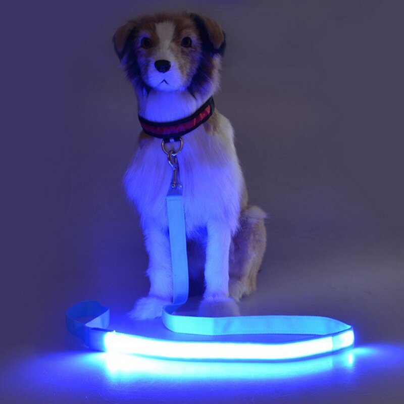 USB Rechargeable LED Dog Leash Manufacturer - Custom Logo Night Walking Glowing