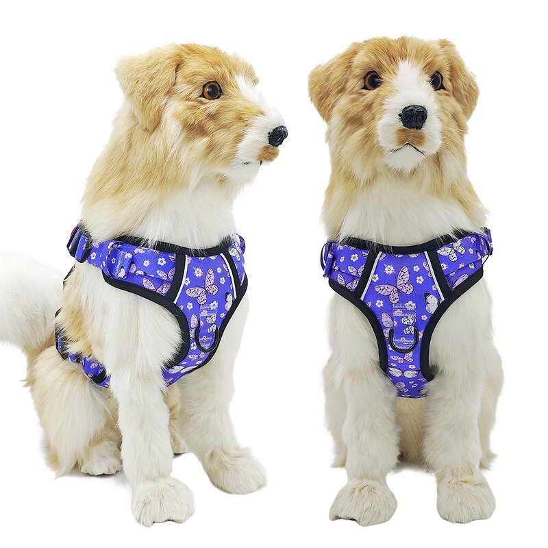Printed Dog Harness Set Manufacturer - No Pull Personalized Pet Accessories