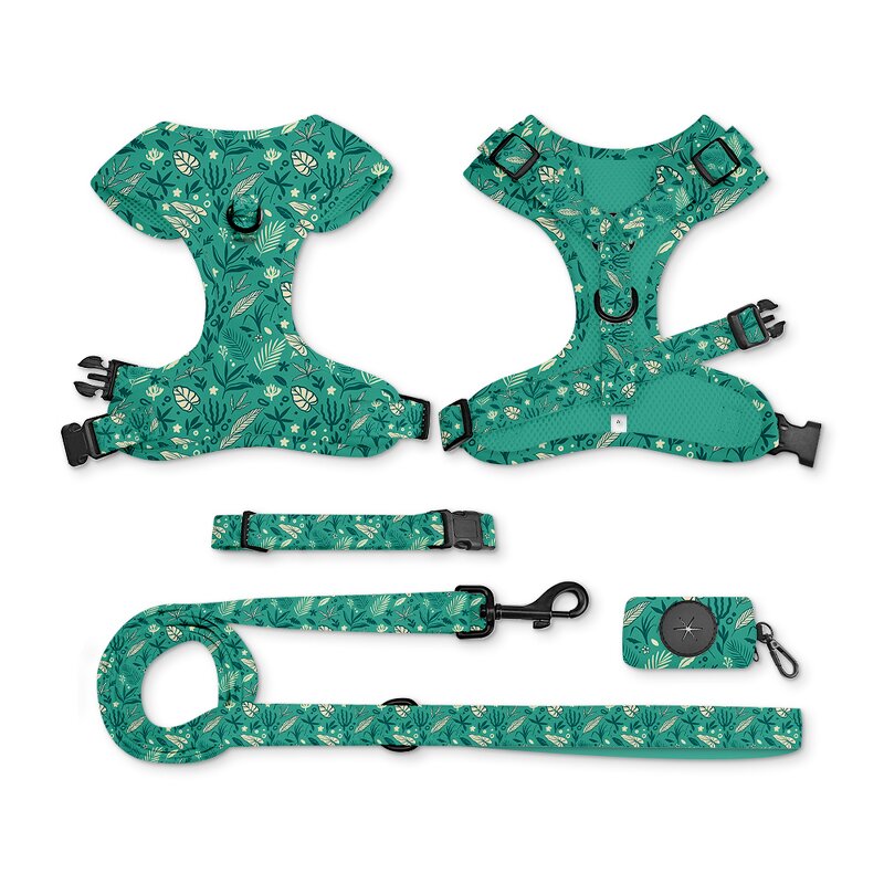Designer Dog Harness and Leash Set Manufacturer - Breathable Adjustable Comfort