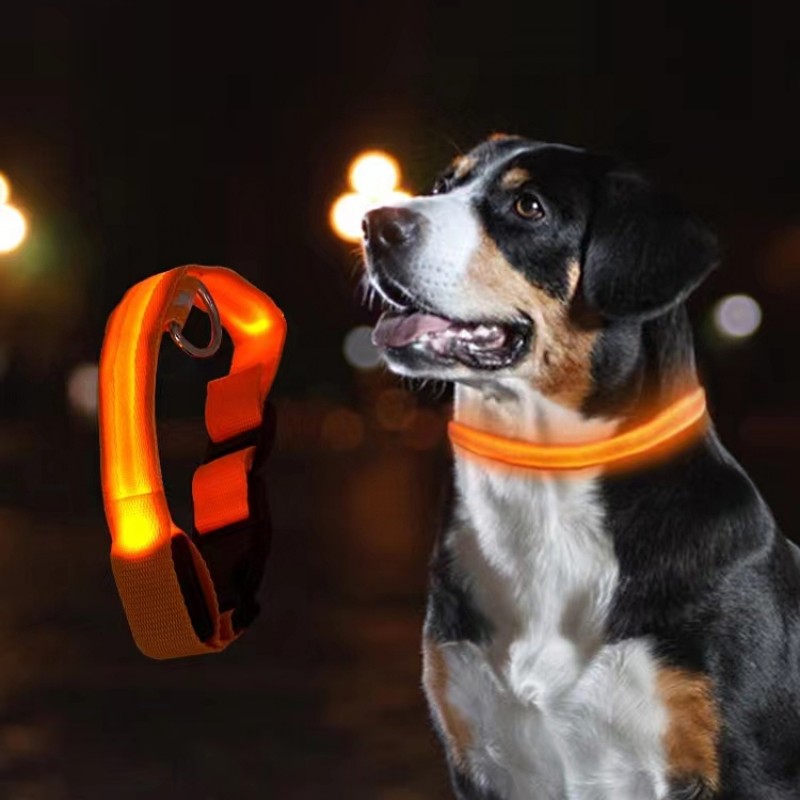 Airtag Dog Collar Manufacturer - Premium Quality Free Sample Training LED