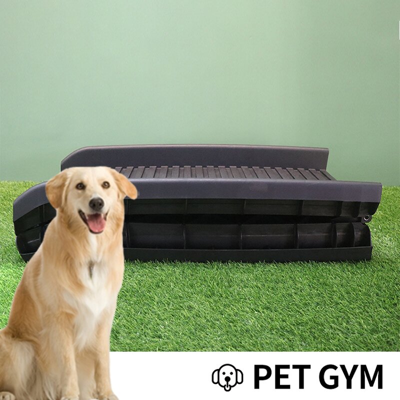 Pet Folding Stairs Ramp Manufacturer - Hot Sale Plastic Ladder Ramps Adjustable