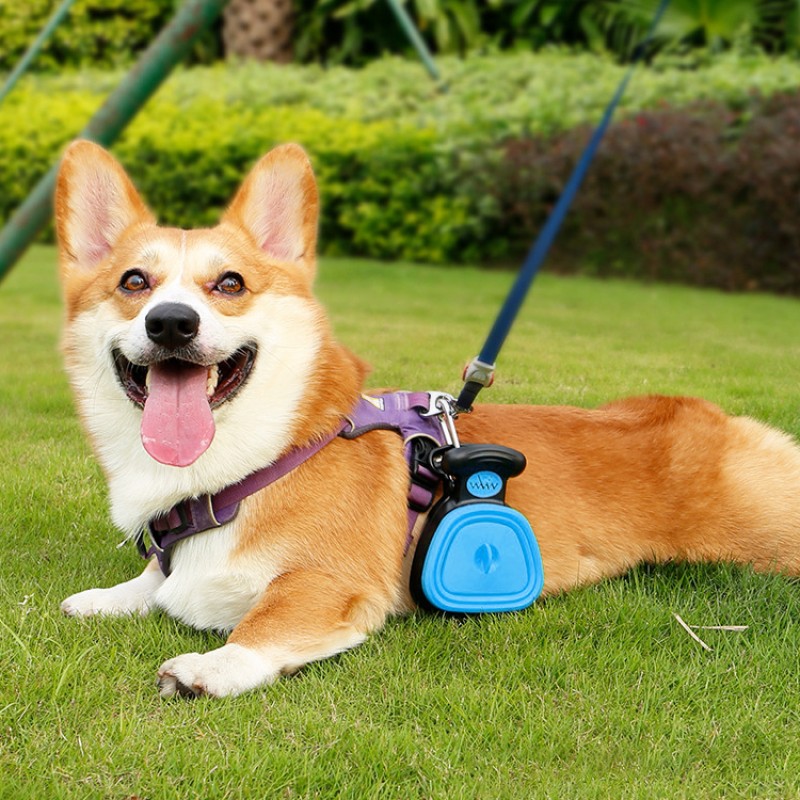 Foldable Pet Poop Scoop Manufacturer - Silicone Plastic Cleaner With Bag Holder