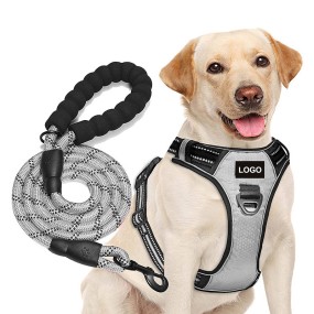 Soccer Texture Dog Harness Set Manufacturer - OEM/ODM Hot Sale for Training