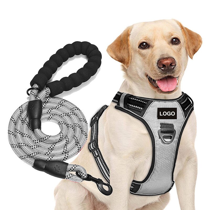 Soccer Texture Dog Harness Set Manufacturer - OEM/ODM Hot Sale for Training