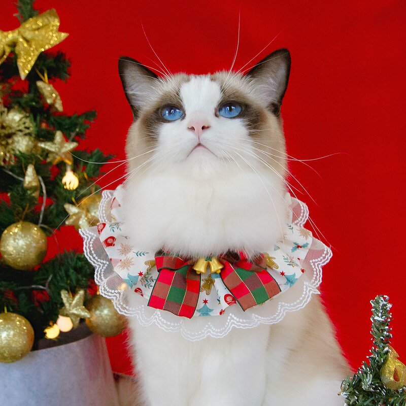 Christmas Cat Bib Bandana Set Manufacturer - Factory Wholesale Cute with Bow Tie