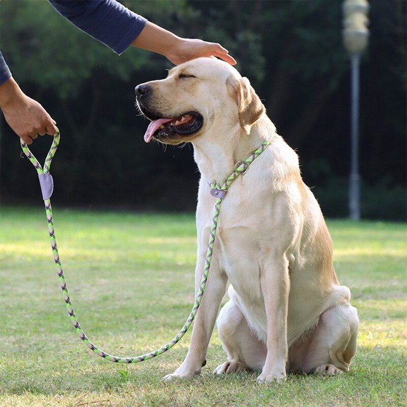 Heavy Duty Dog Leash Manufacturer - Colorful Reflective Nylon Rope Hands Free