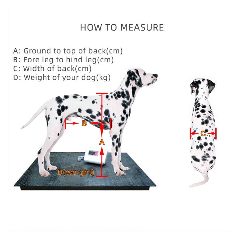 Pet Wheelchair Manufacturer - Hind Legs Injury Disability Paralysis Assistance