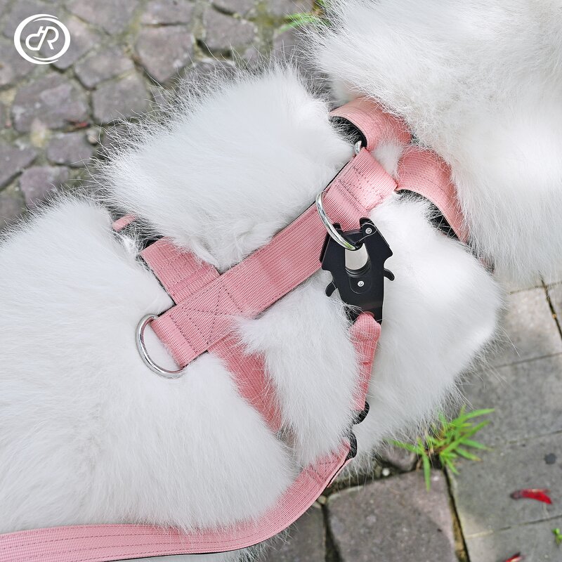 Step-In Dog Harness Manufacturer - Neoprene Voyager Adjustable No-Pull Customized