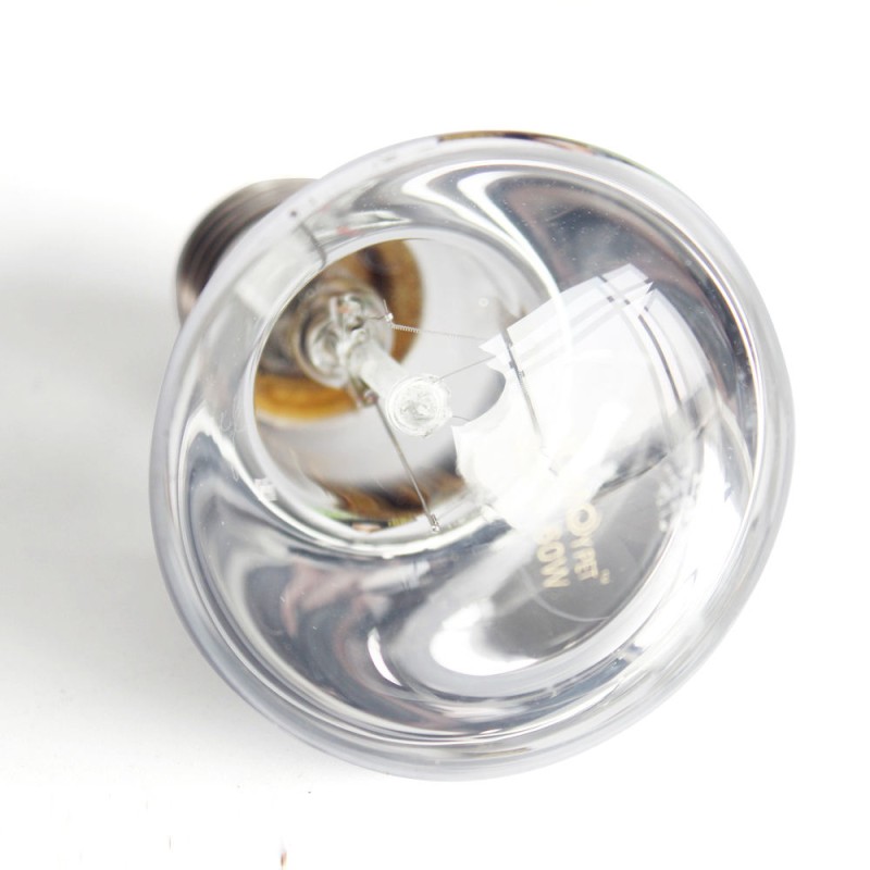 Reptile Heat Lamp Manufacturer - DRH Wholesale 40/60 Watt UVA Daylight Lamps