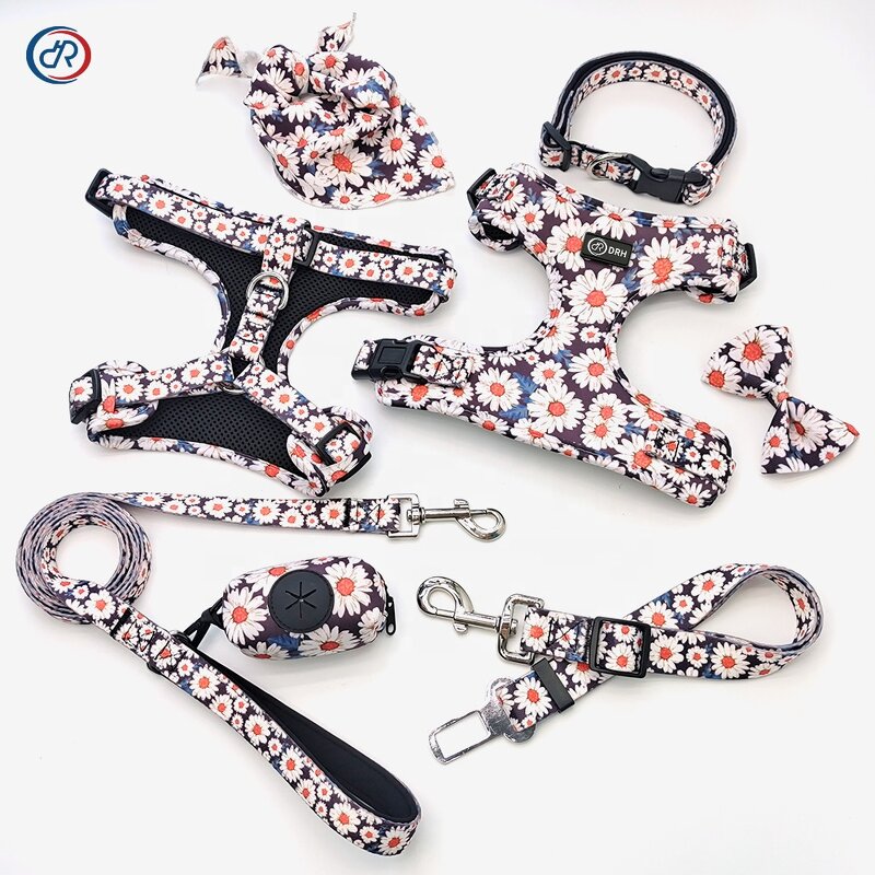 Custom Dog Harness Set Manufacturer - Hot Sale Low MOQ Polyester Personalized