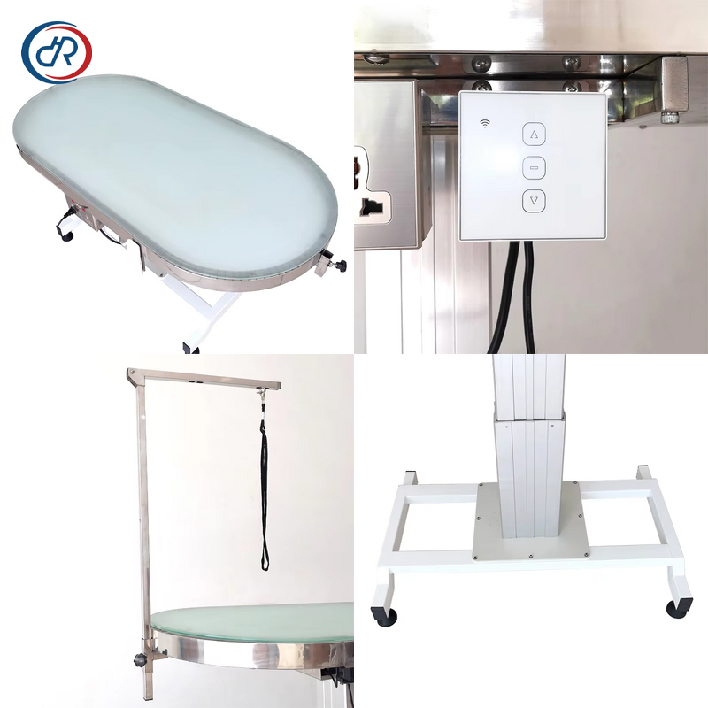 Foldable Pet Grooming Table Manufacturer - DRH Professional Portable Stainless Steel